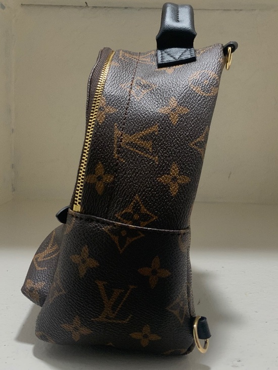 Louis Vuitton Palm Springs Mini Backpack main image 4